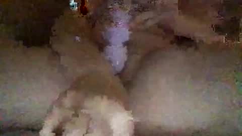 Snapshot of kylie69sm chatting on February 27, 2026, 3:06 am kylie online show from February 27, 2026, 3:06 am