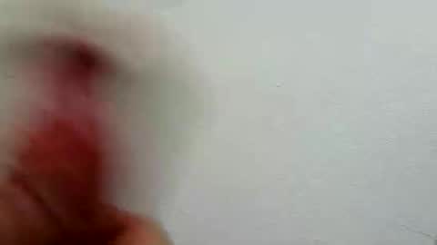 Snapshot of l0cean chatting on February 26, 2026, 3:16 am l0cean online show from February 26, 2026, 3:16 am