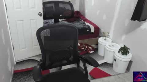 l1v1nth3dr3am online show from November 10, 2025, 9:41 am