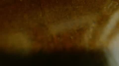 Snapshot of la_teaser chatting on November 20, 2025, 1:17 am la teaser online show from November 20, 2025, 1:17 am