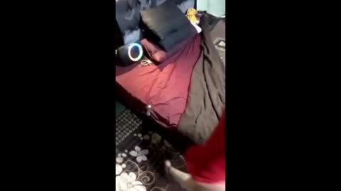 labestiareconoseme44420 online show from March 8, 2026, 7:45 am