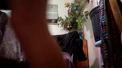 lacybell online show from December 23, 2024, 7:06 am