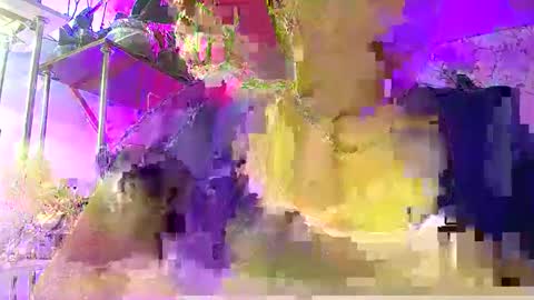 Lady Gloria online show from January 7, 2026, 6:05 am