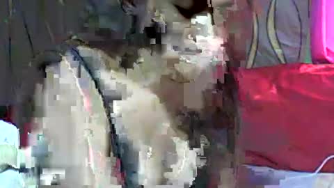 LadyXSnakes online show from March 11, 2025, 5:27 am