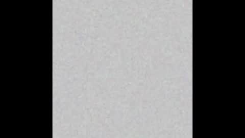  paola and a guest lol    online show from October 15, 2025, 9:20 am