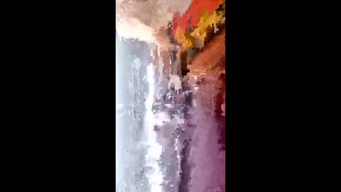 laia_hadid online show from February 16, 2026, 3:19 pm