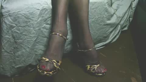 lana_legs53 online show from April 19, 2026, 5:51 am