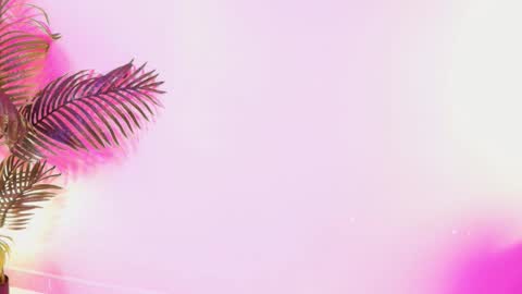 LANA online show from March 29, 2026, 3:50 am