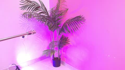 LANA online show from April 3, 2026, 4:10 am