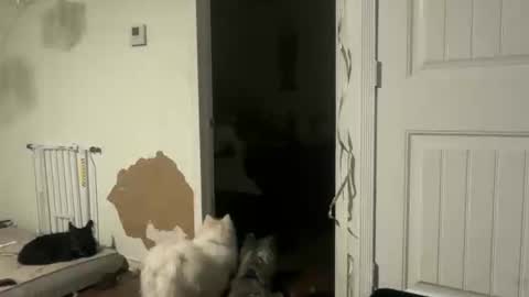 lanasharapovaxxx online show from February 18, 2026, 12:28 am