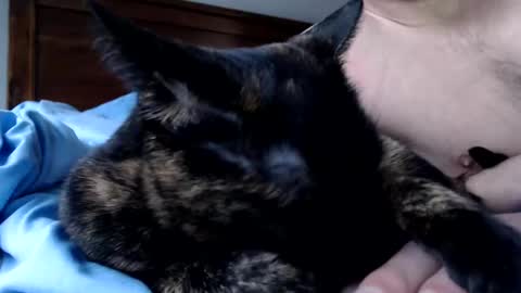 Lance online show from December 16, 2025, 4:12 pm