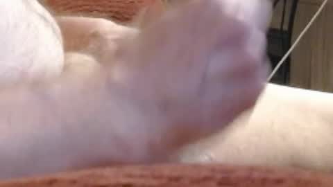 Snapshot of laststeven chatting on December 17, 2024, 12:01 am laststeven online show from December 17, 2024, 12:01 am