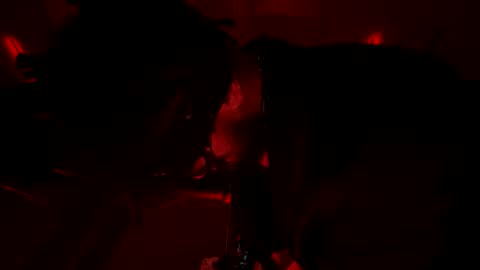 latex__buddy online show from March 3, 2026, 10:43 am