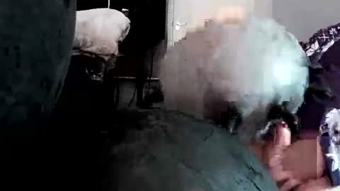 latexchris77 online show from April 14, 2026, 5:24 am