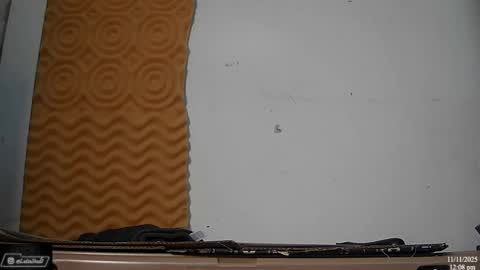 Snapshot of latinstud7 chatting on November 11, 2025, 6:08 pm Nico online show from November 11, 2025, 6:08 pm