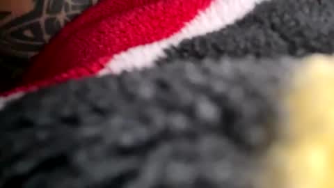 Mexakin online show from November 16, 2025, 8:58 pm