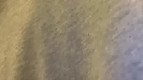 Mexakin online show from March 9, 2026, 1:42 am