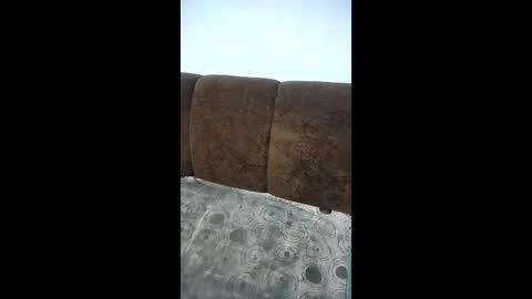 laura_sofia23 online show from January 7, 2026, 11:01 am