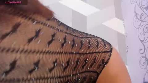 Snapshot of laurenhu chatting on January 3, 2025, 6:14 pm Lauren Hu online show from January 3, 2025, 6:14 pm