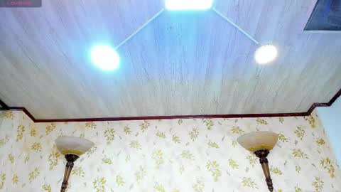 Snapshot of laurenhu chatting on February 10, 2025, 9:14 am Lauren Hu online show from February 10, 2025, 9:14 am