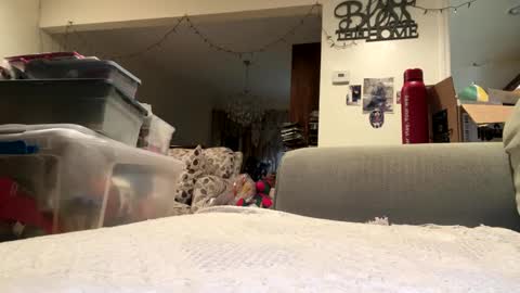 Snapshot of lawrencegreg106 chatting on September 25, 2025, 1:09 am lawrencegreg106 online show from September 25, 2025, 1:09 am