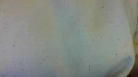 Snapshot of layannalea chatting on February 13, 2026, 7:04 am layannalea online show from February 13, 2026, 7:04 am