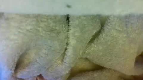 layannalea online show from April 9, 2026, 6:30 am