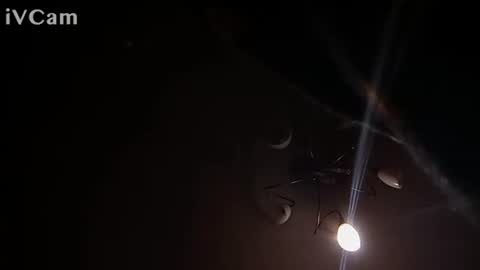 Snapshot of laydayy chatting on January 12, 2026, 10:37 pm laydayy online show from January 12, 2026, 10:37 pm