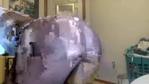 layla online show from September 21, 2025, 6:48 am