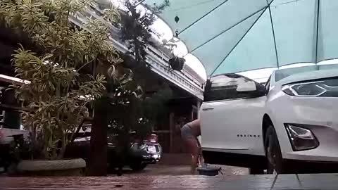 kelly online show from November 1, 2025, 7:27 pm