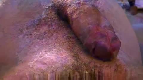 lb_38 online show from November 4, 2025, 9:47 pm