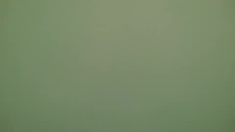 Michel online show from November 28, 2025, 6:32 pm