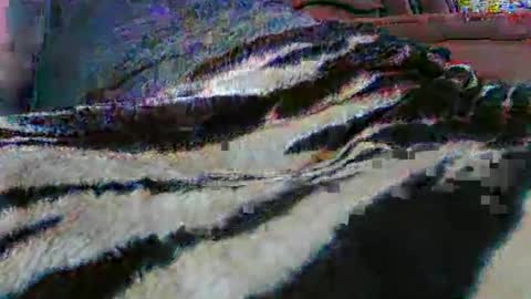 ledmax07 online show from April 13, 2026, 1:22 am