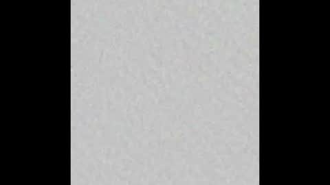 leejhonsonnn online show from November 6, 2025, 11:33 am