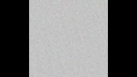 leejhonsonnn online show from November 13, 2025, 11:42 am