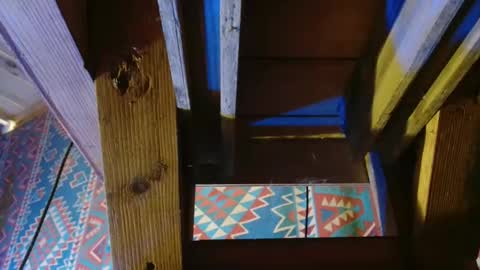 Dliciousman online show from December 19, 2024, 8:55 pm