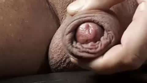 Snapshot of legofactory chatting on February 13, 2025, 4:54 am legofactory online show from February 13, 2025, 4:54 am