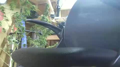 HoleStretcher online show from September 9, 2025, 7:46 pm