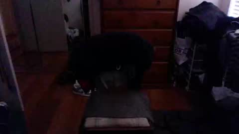 Snapshot of lennyfife chatting on February 23, 2025, 9:55 am Pussylicker online show from February 23, 2025, 9:55 am