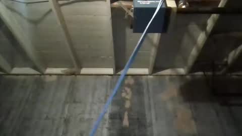 leo199984 online show from November 25, 2025, 3:39 am