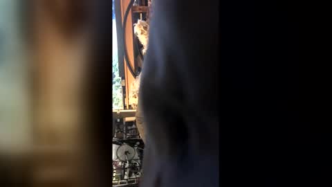 Snapshot of leongent chatting on February 27, 2026, 8:42 pm Leon online show from February 27, 2026, 8:42 pm