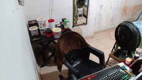 leonino231 online show from December 15, 2025, 4:06 am