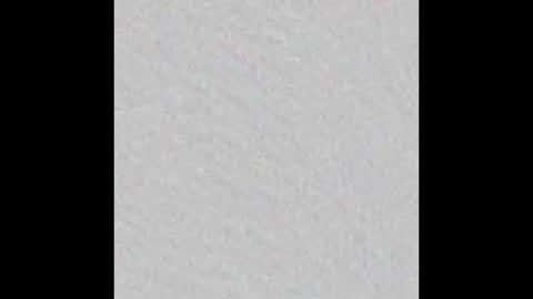 Snapshot of leontorax chatting on December 20, 2025, 12:07 am T0rax online show from December 20, 2025, 12:07 am