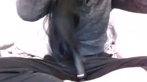 Snapshot of lets_play143 chatting on February 16, 2026, 7:04 am lets_play143 online show from February 16, 2026, 7:04 am