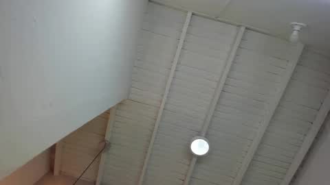 LevySteven online show from November 24, 2025, 12:43 am