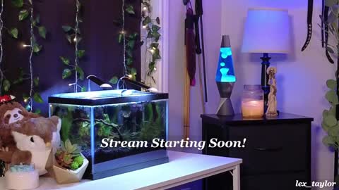 Lex online show from January 7, 2025, 3:46 am