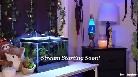 Lex online show from February 17, 2025, 4:04 pm