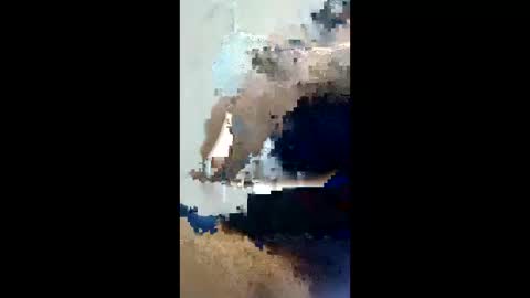 lexboy788181 online show from April 23, 2026, 5:52 am