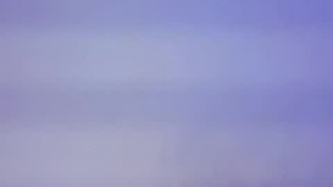 Lyela online show from October 7, 2025, 11:51 am