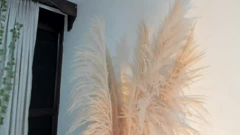 Lia online show from April 16, 2026, 3:29 am